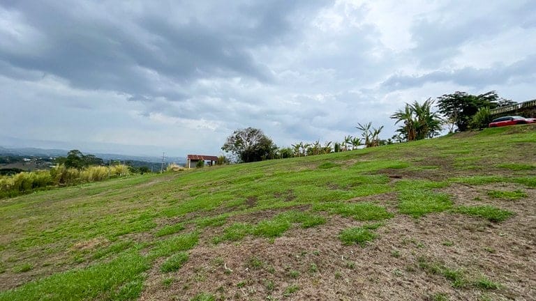 ll2400281_img-4_large-min