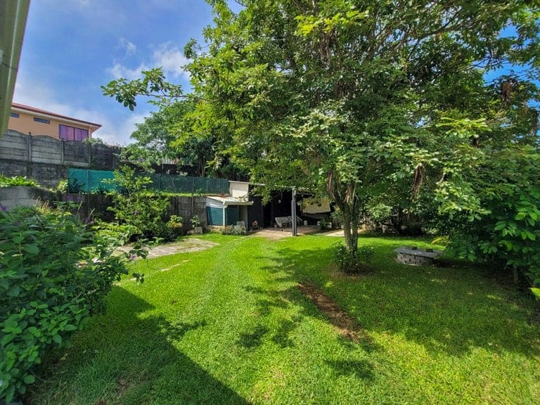 rs2400732_img-16_large-min