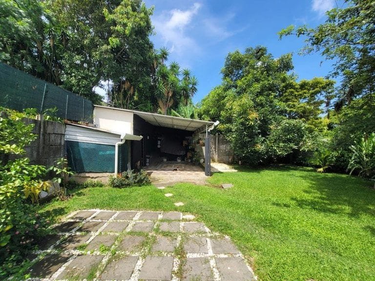 rs2400732_img-17_large-min