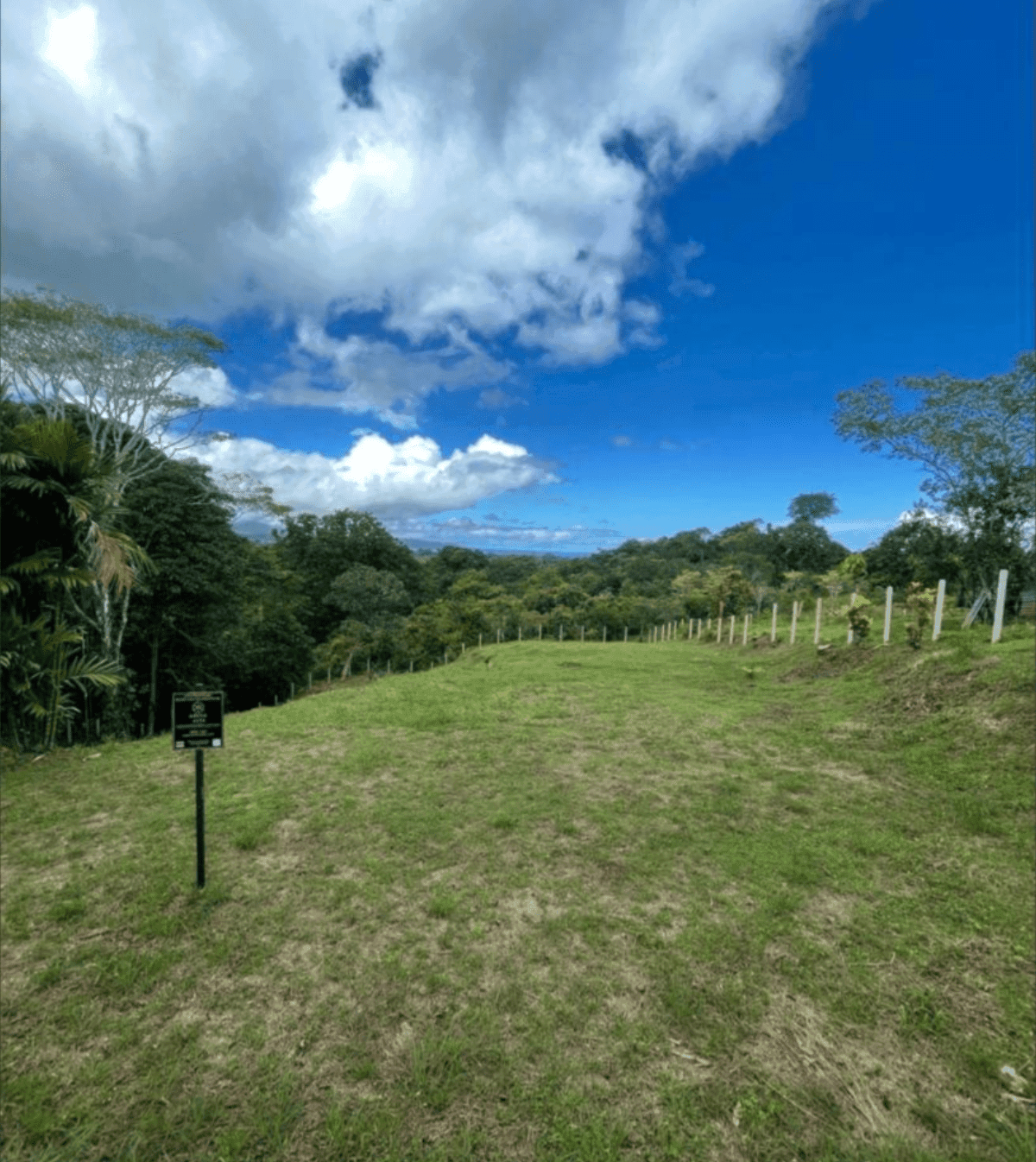 צילום מסך 2024-06-18 ב-11.35.00-min