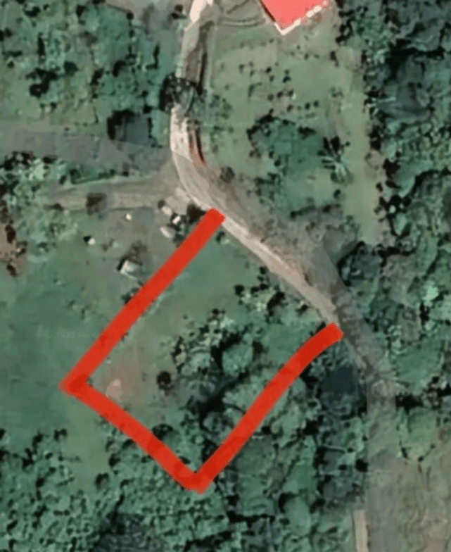 צילום מסך 2024-06-18 ב-11.35.10-min