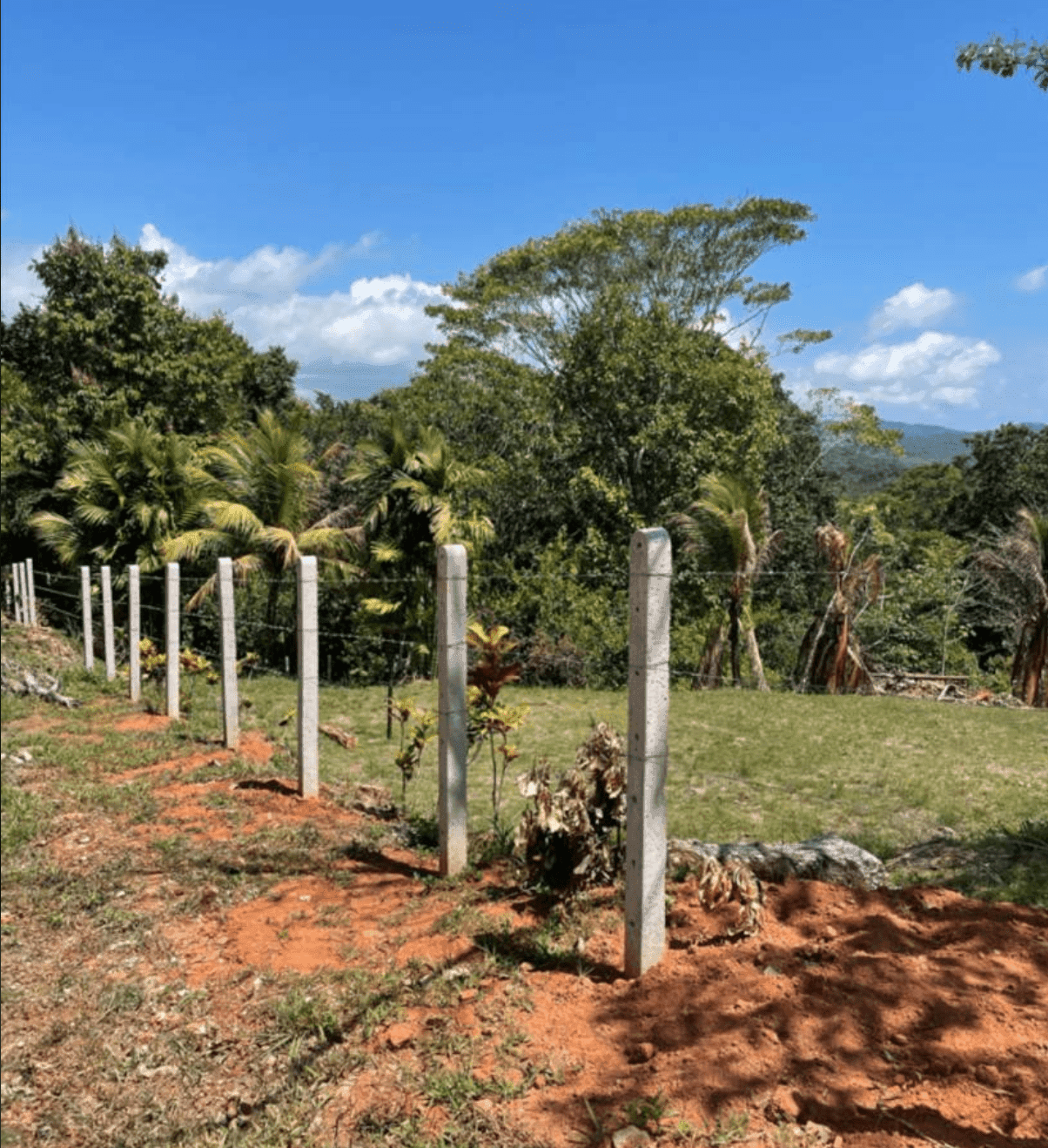 צילום מסך 2024-06-18 ב-11.35.32-min