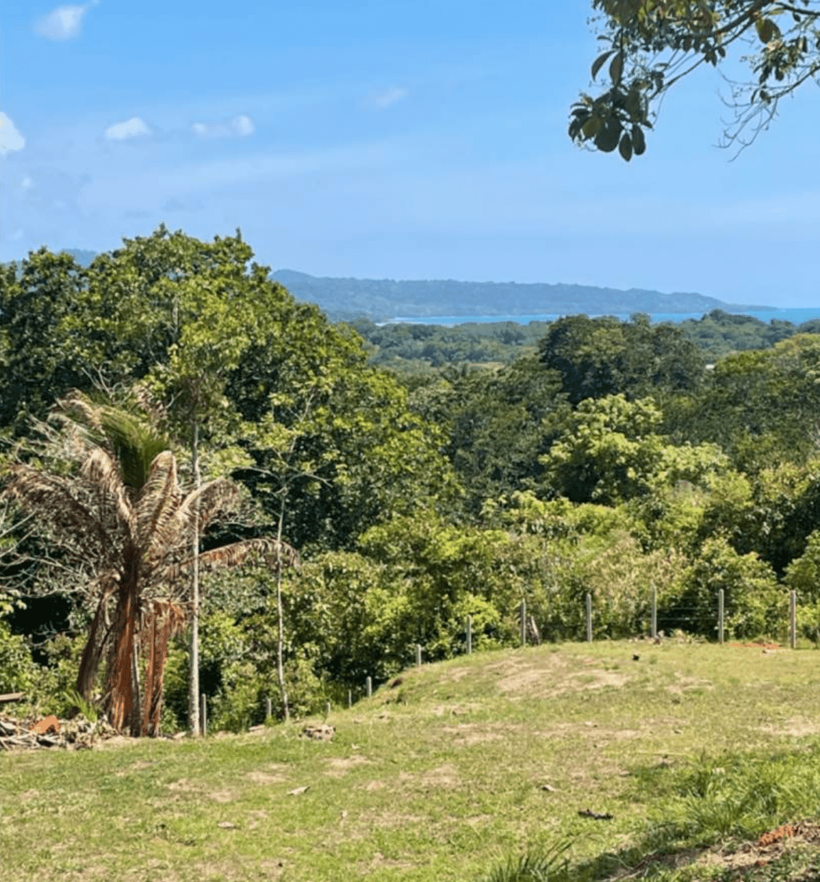 צילום מסך 2024-06-18 ב-11.35.44-min