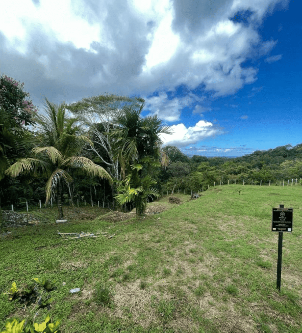 צילום מסך 2024-06-18 ב-11.35.53-min