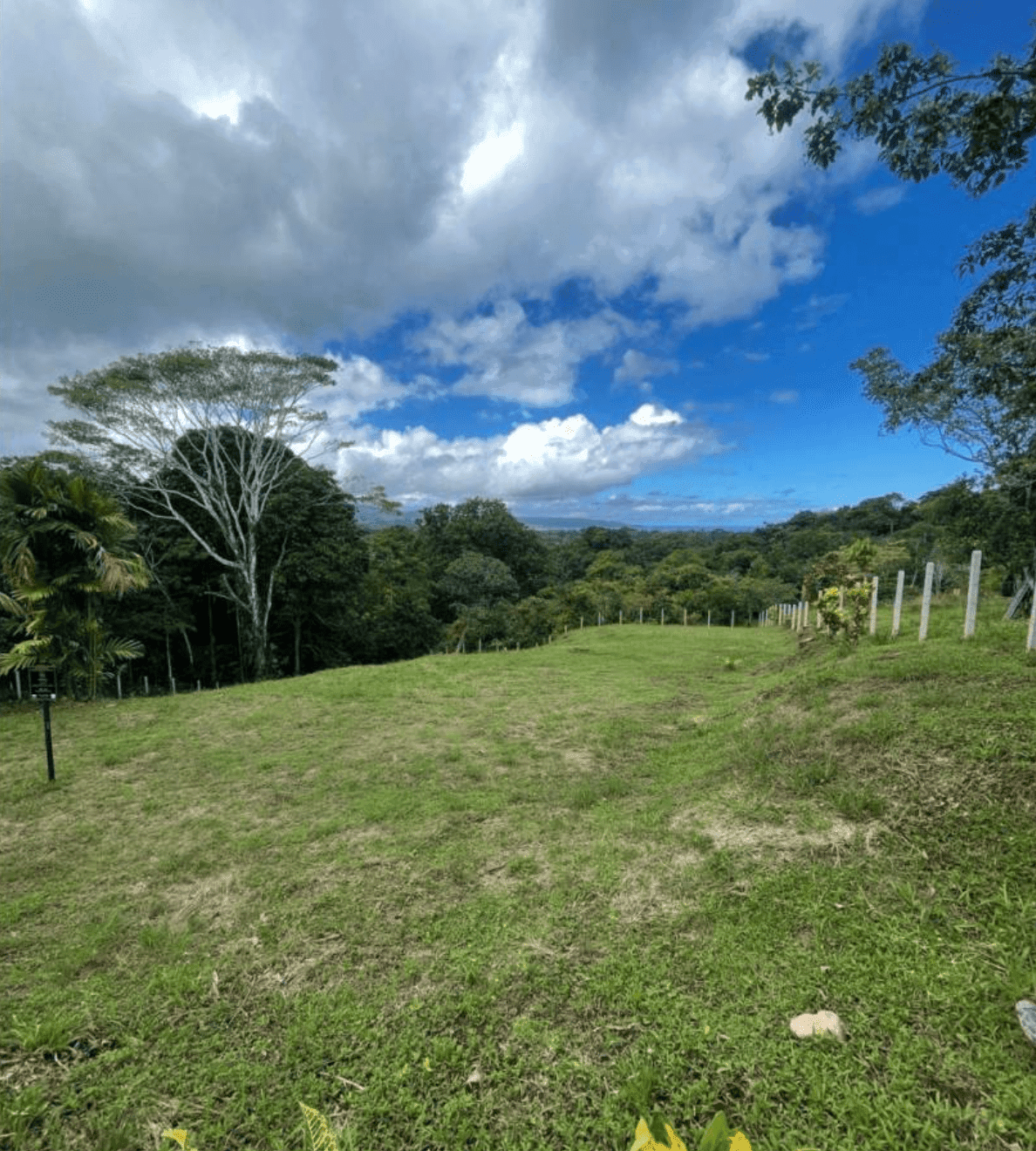 צילום מסך 2024-06-18 ב-11.36.08-min