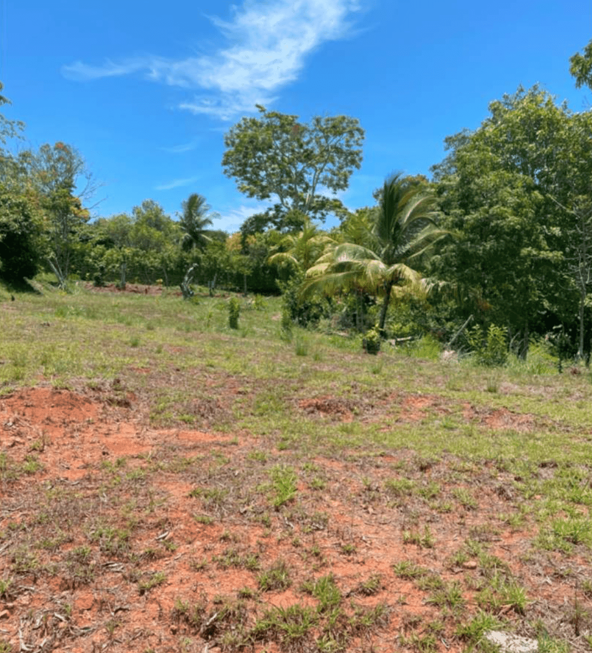 צילום מסך 2024-06-18 ב-11.36.15-min