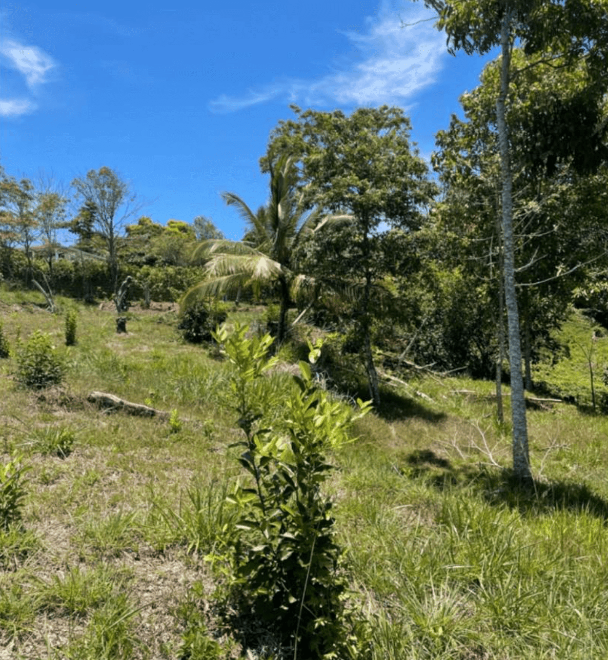 צילום מסך 2024-06-18 ב-11.36.31-min