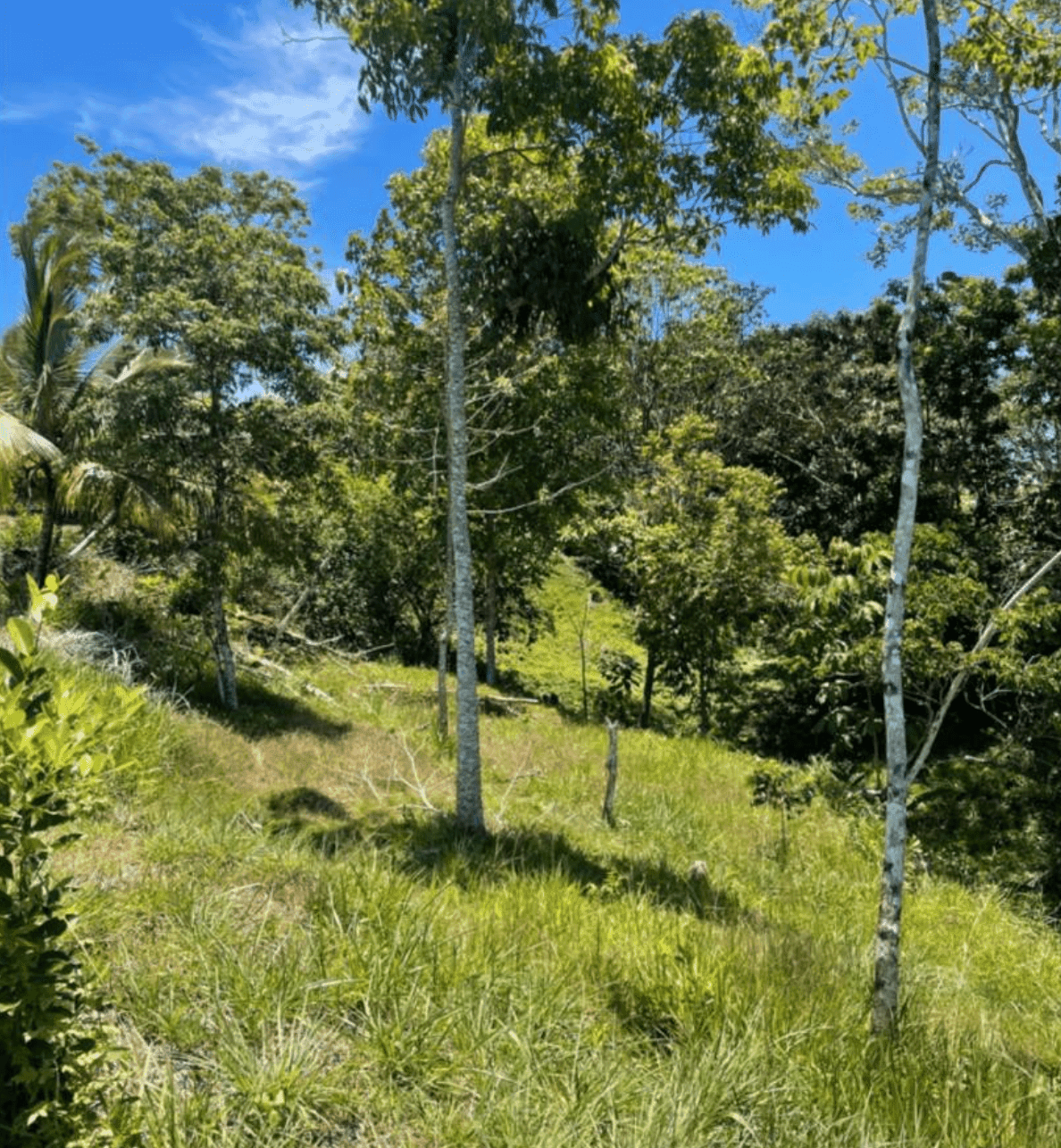 צילום מסך 2024-06-18 ב-11.36.39-min