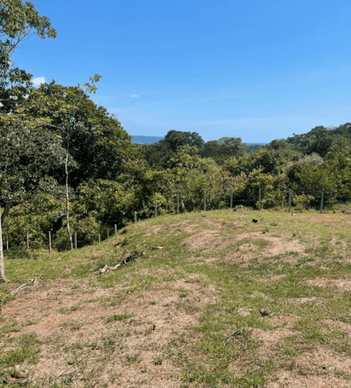 צילום מסך 2024-06-18 ב-11.36.46-min