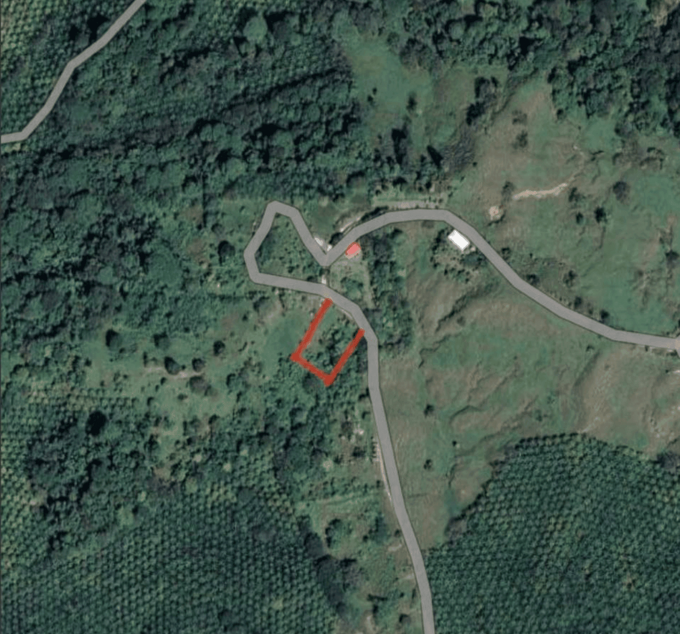 צילום מסך 2024-06-18 ב-11.37.09-min