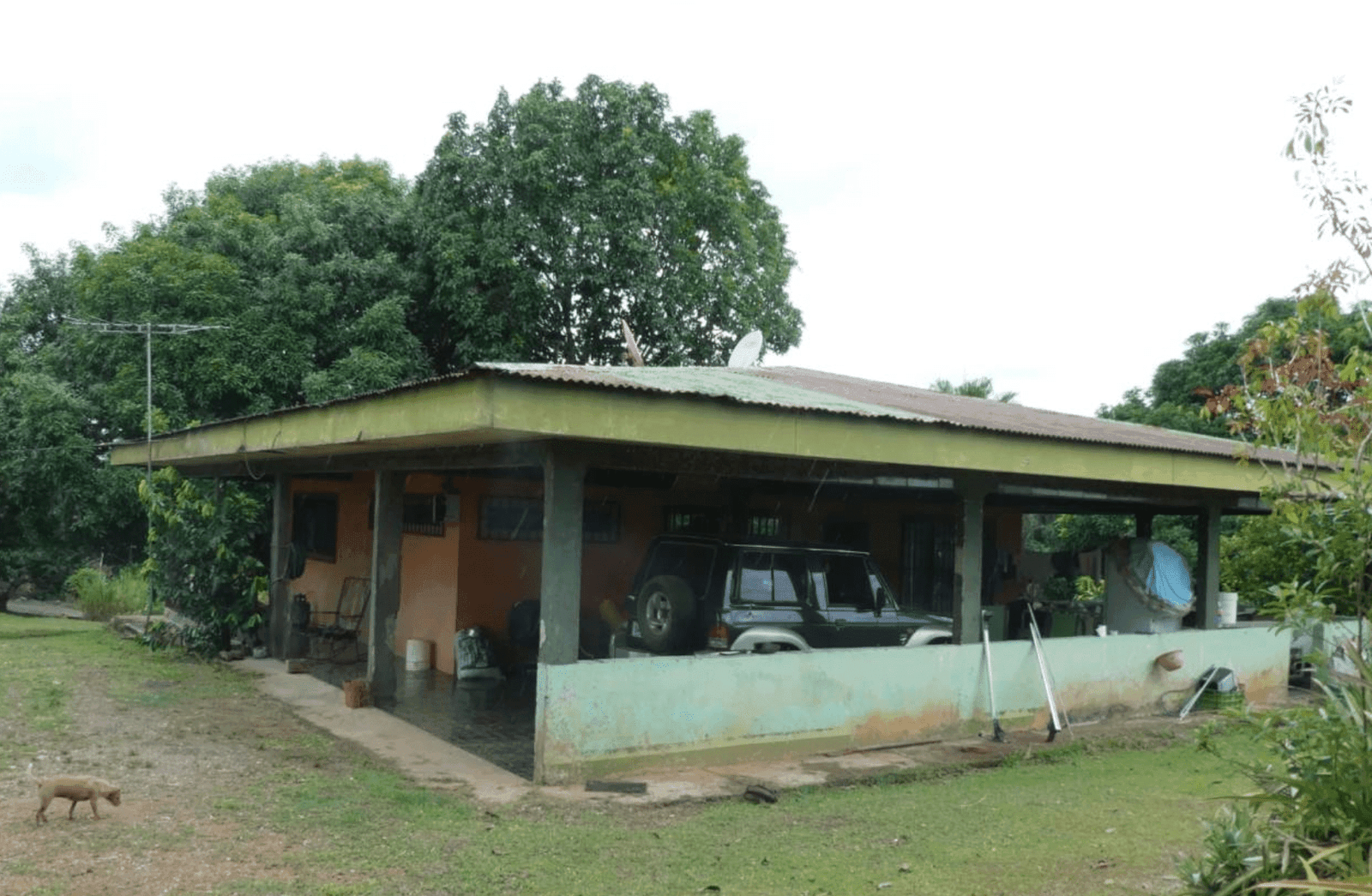 צילום מסך 2024-06-18 ב-12.45.43-min