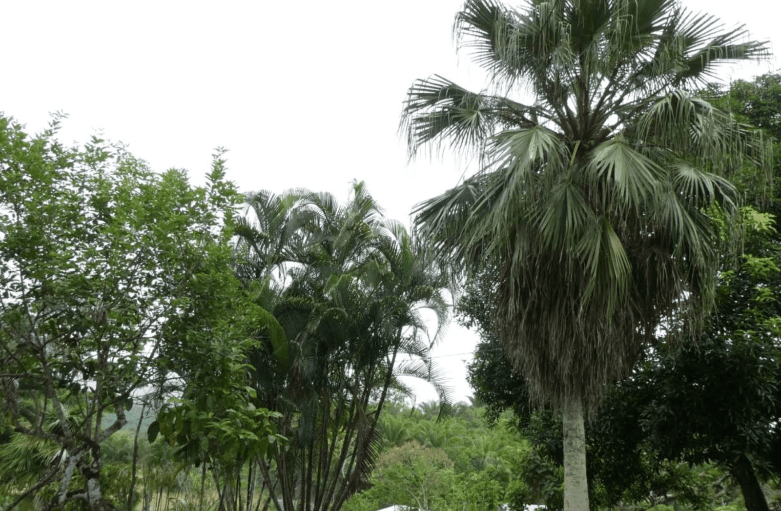 צילום מסך 2024-06-18 ב-12.46.04-min