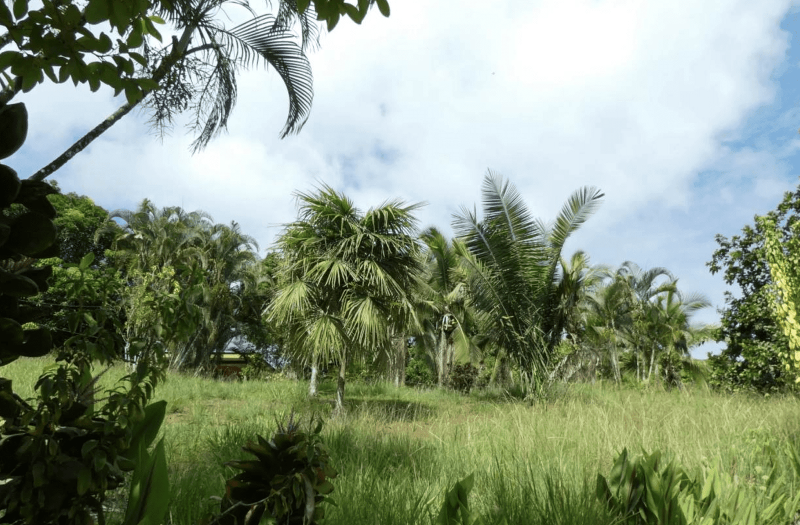 צילום מסך 2024-06-18 ב-12.46.14-min