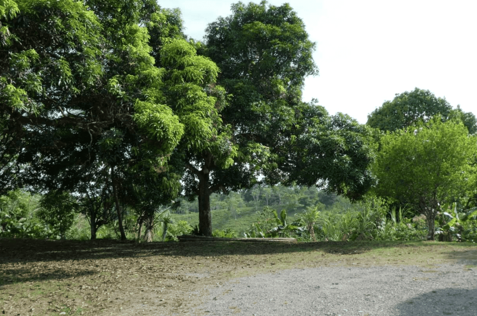 צילום מסך 2024-06-18 ב-12.46.20-min