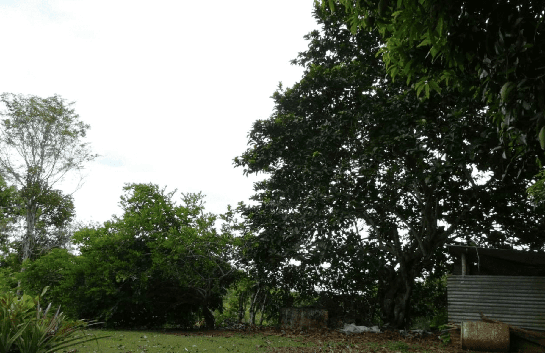 צילום מסך 2024-06-18 ב-12.46.28-min