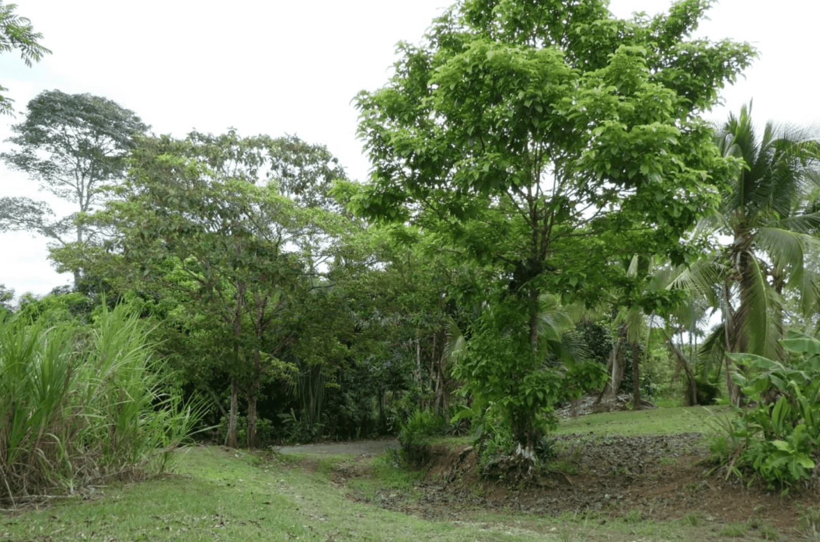 צילום מסך 2024-06-18 ב-12.46.35-min