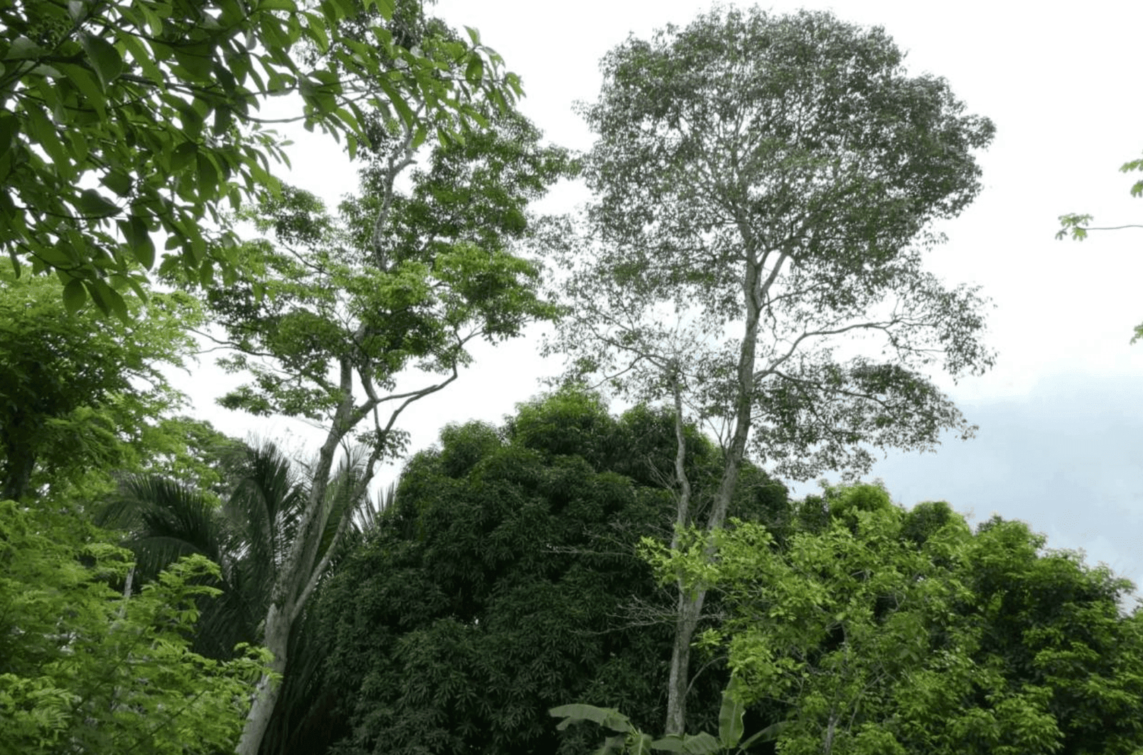 צילום מסך 2024-06-18 ב-12.46.43-min