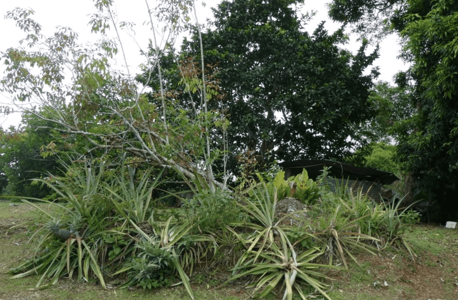 צילום מסך 2024-06-18 ב-12.47.00-min