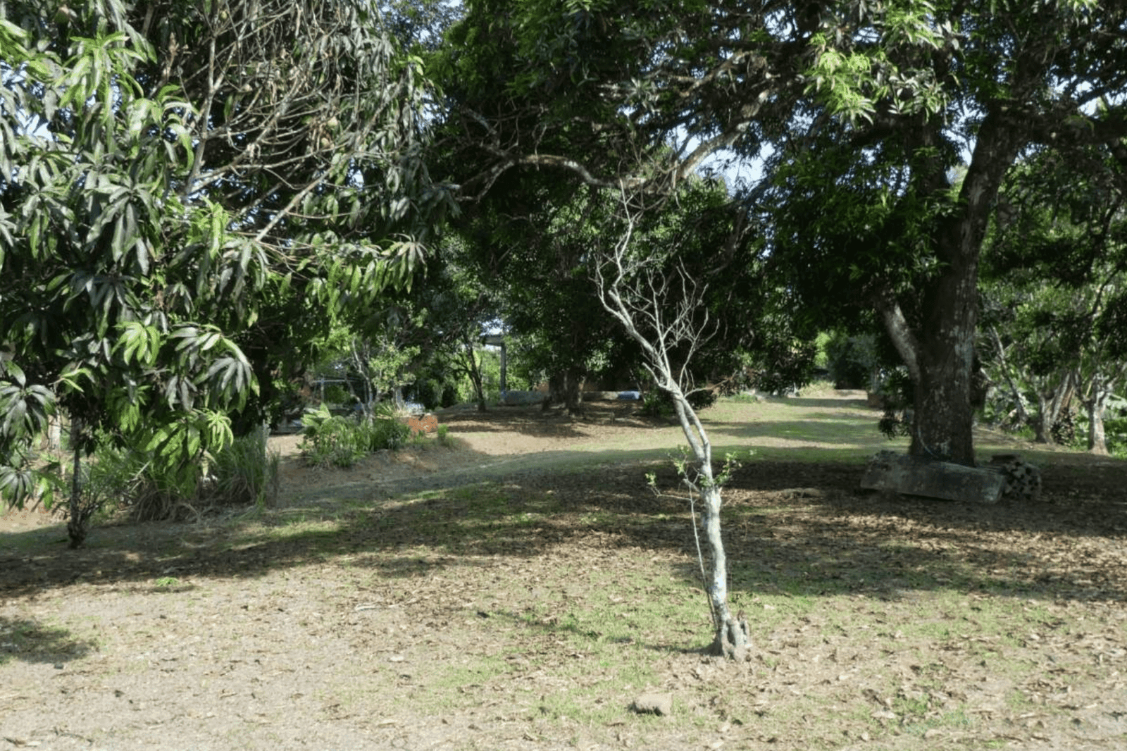 צילום מסך 2024-06-18 ב-12.47.07-min