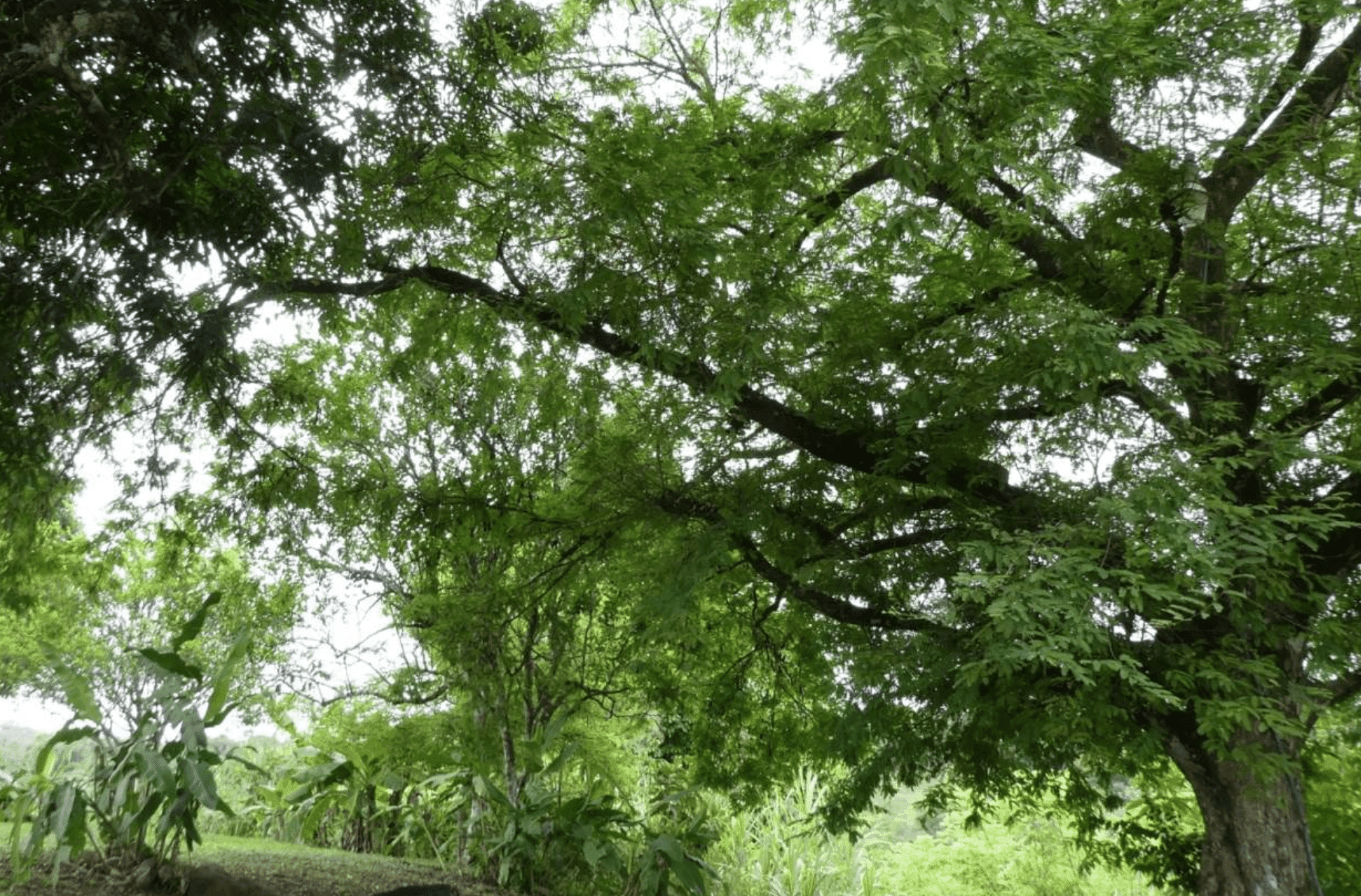 צילום מסך 2024-06-18 ב-12.47.12-min