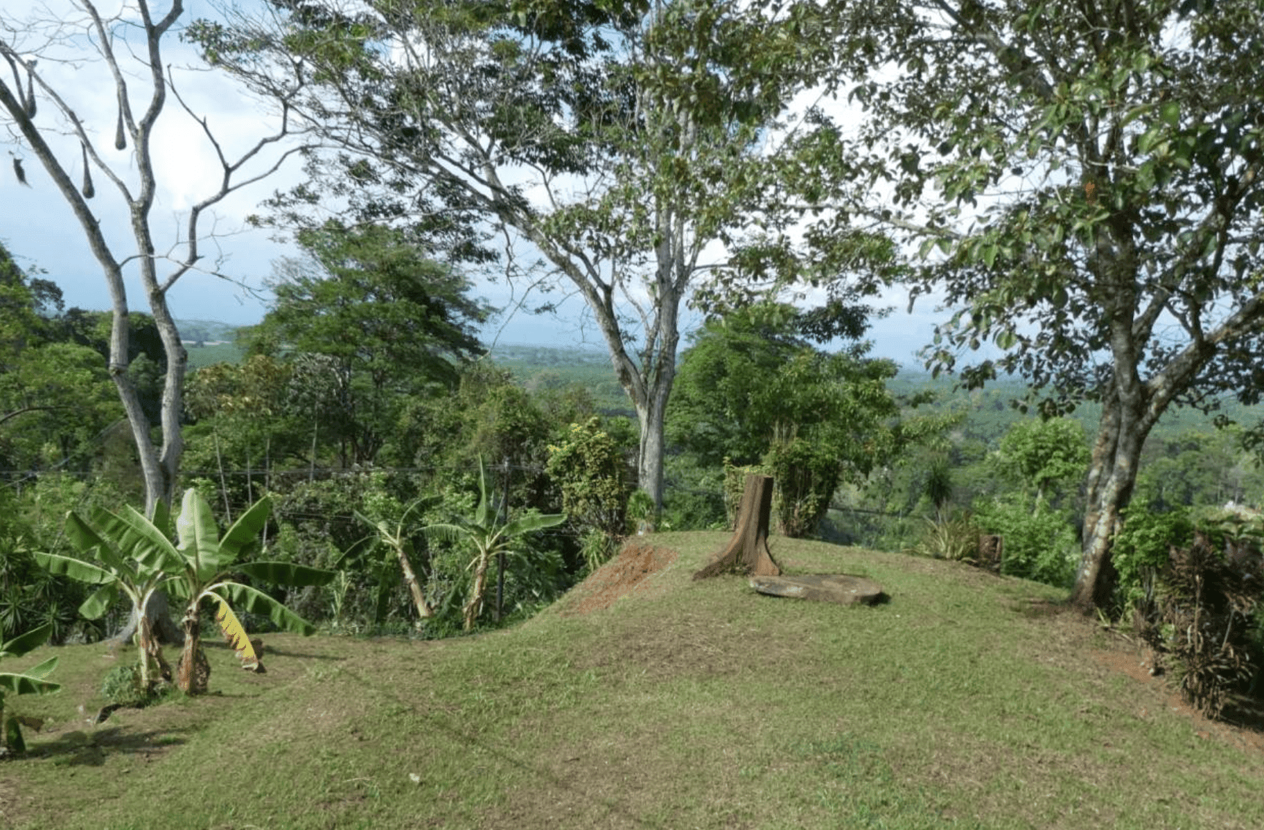 צילום מסך 2024-06-18 ב-12.47.19-min