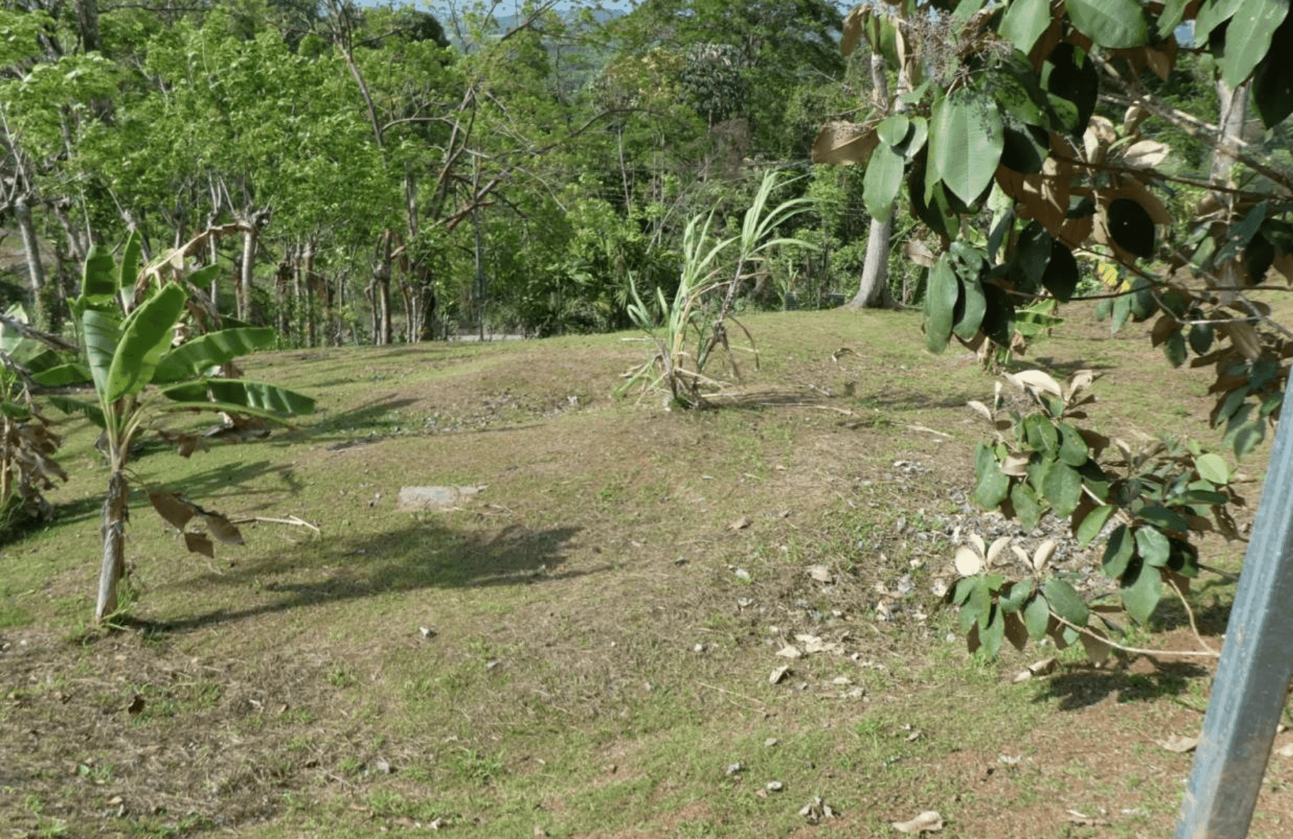 צילום מסך 2024-06-18 ב-12.47.58-min