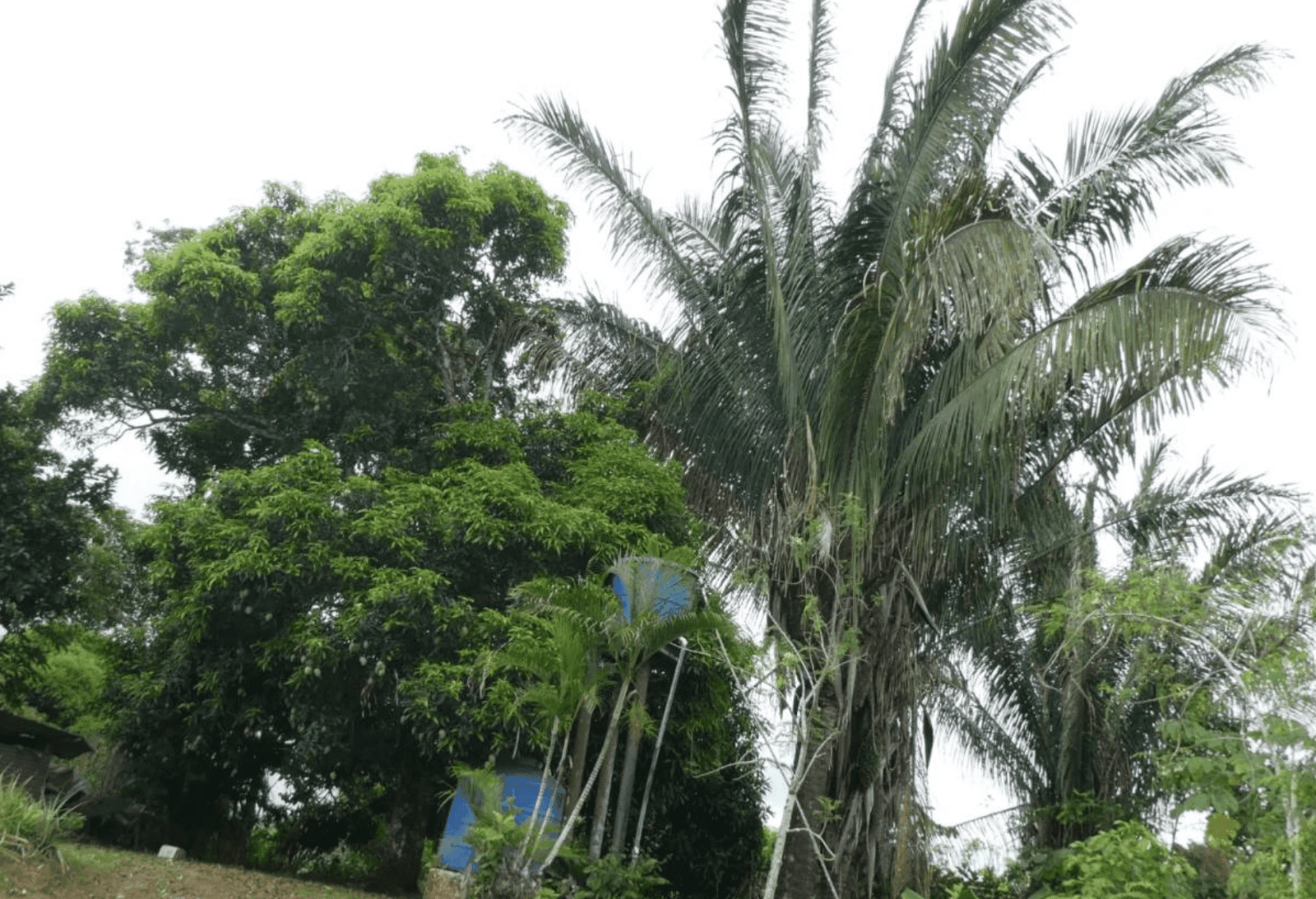 צילום מסך 2024-06-18 ב-12.48.22-min