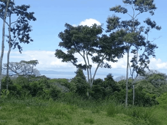 צילום מסך 2024-06-18 ב-13.15.20-min