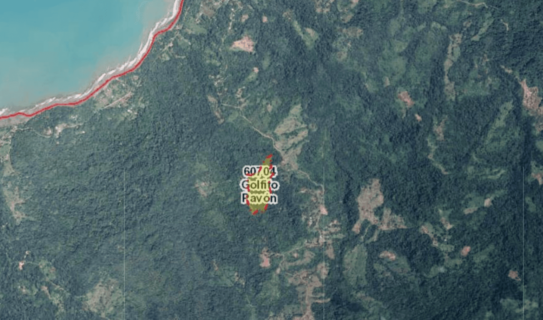 צילום מסך 2024-06-18 ב-13.15.40-min