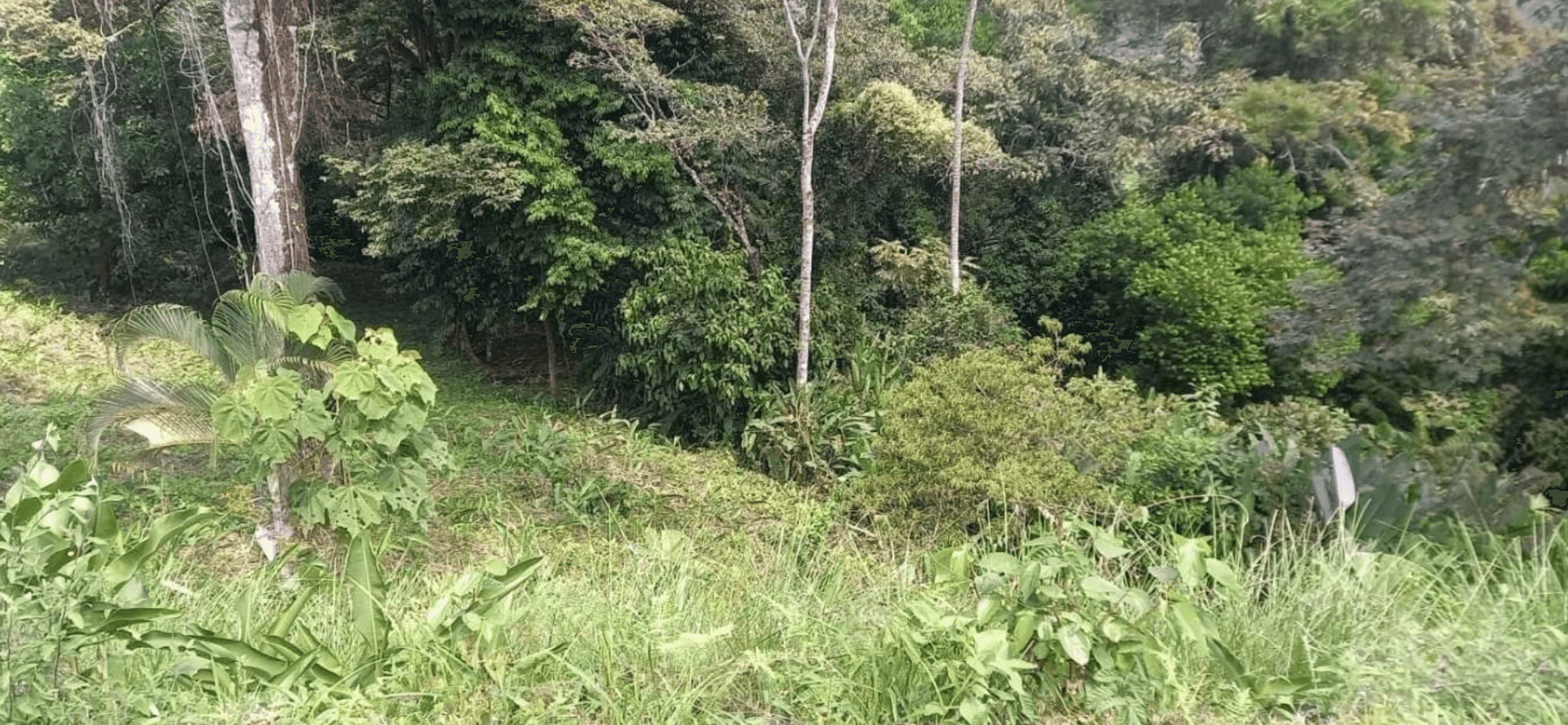 צילום מסך 2024-06-18 ב-13.15.53-min