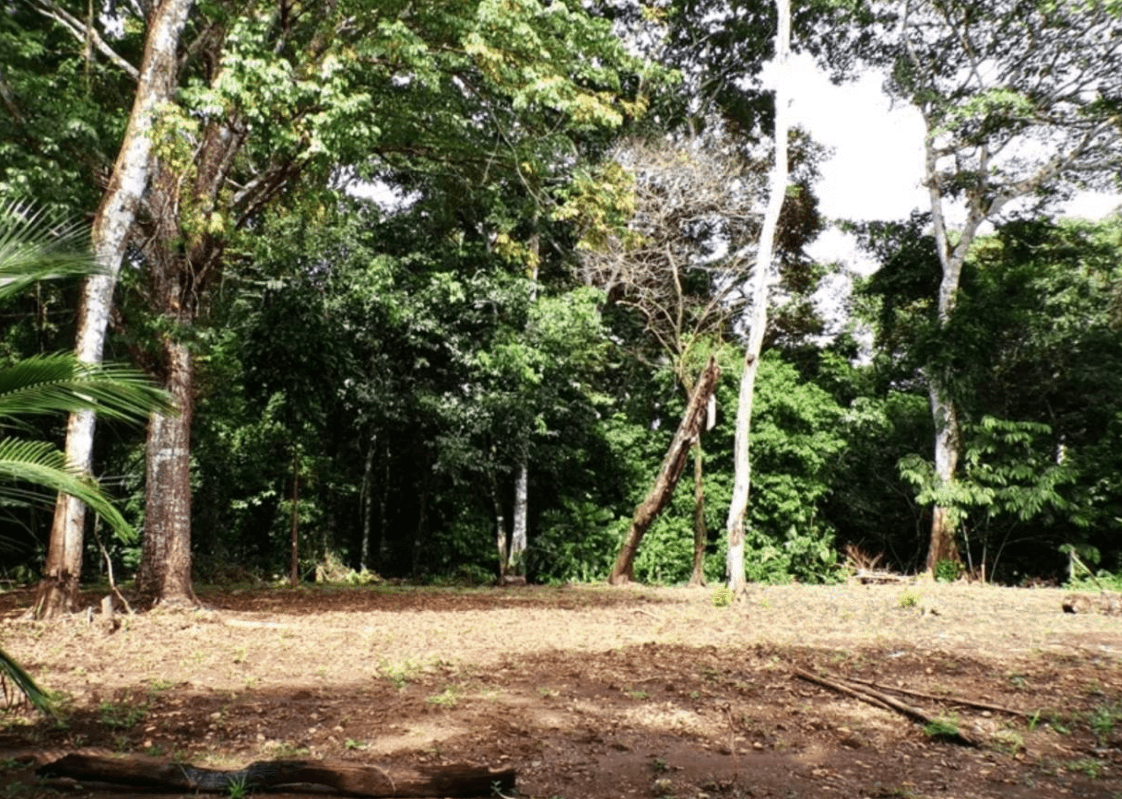 Prime Development Opportunity in Pavones