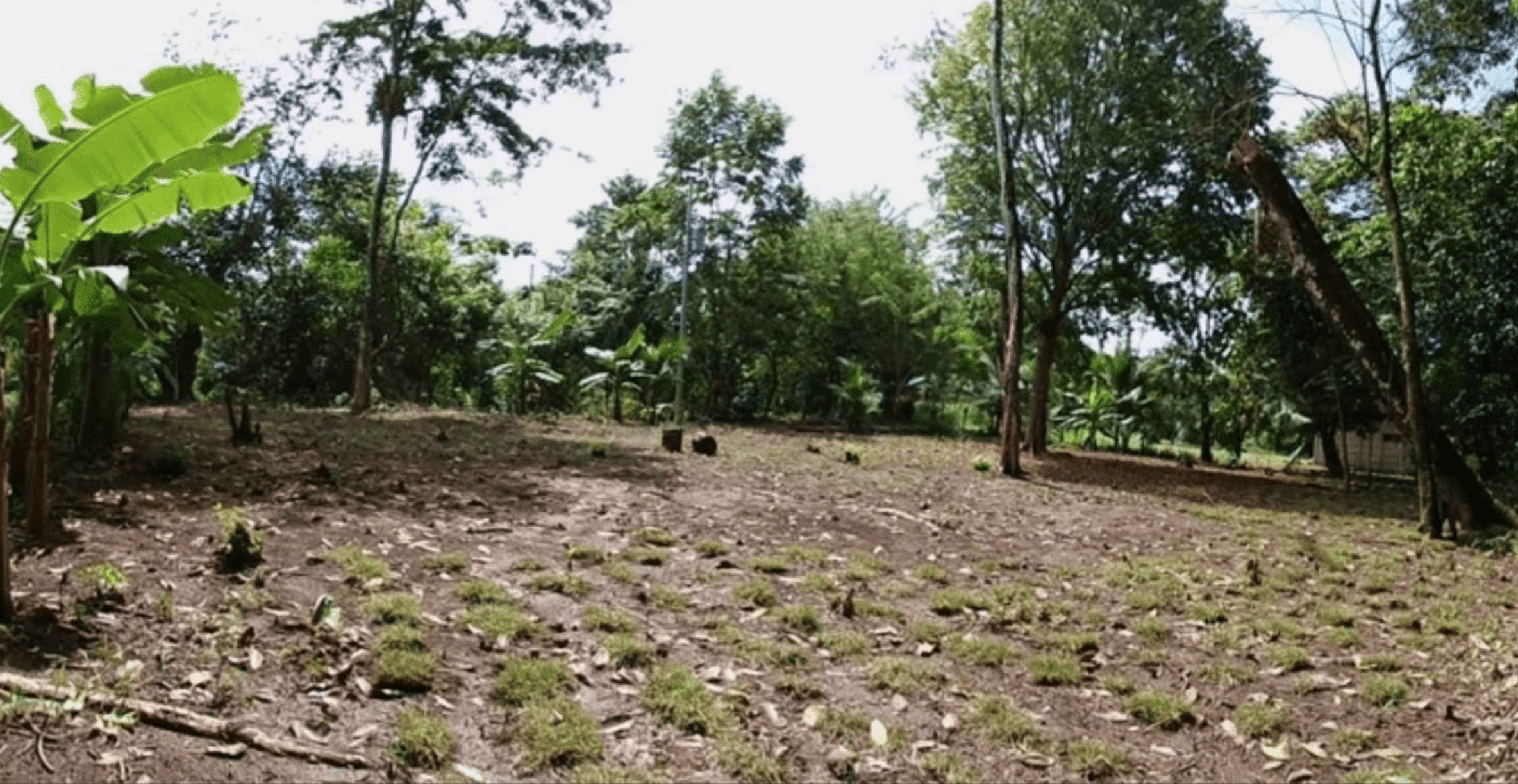 Prime Development Opportunity in Pavones