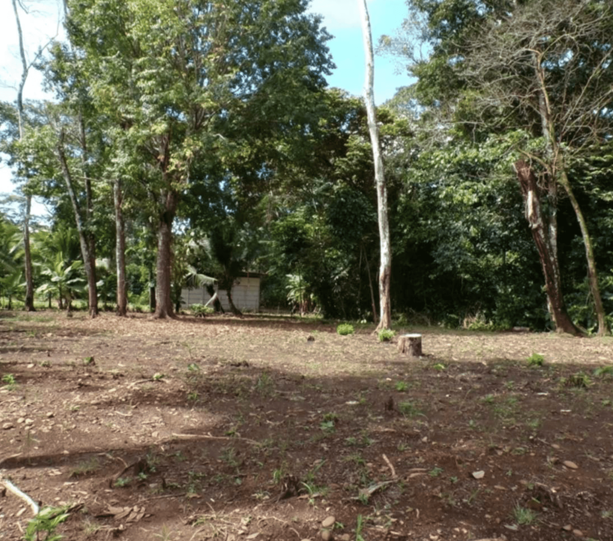 Prime Development Opportunity in Pavones