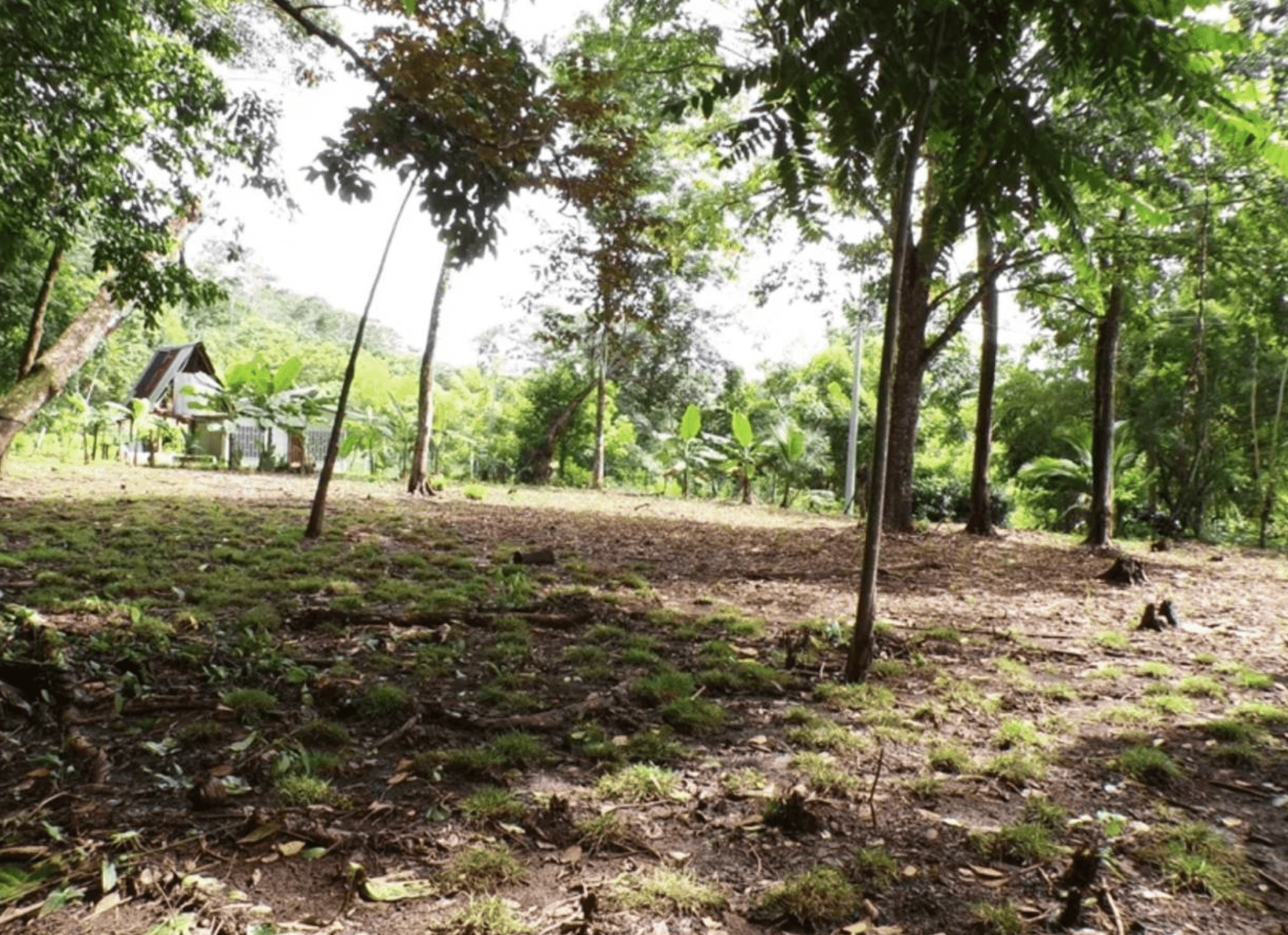 Prime Development Opportunity in Pavones