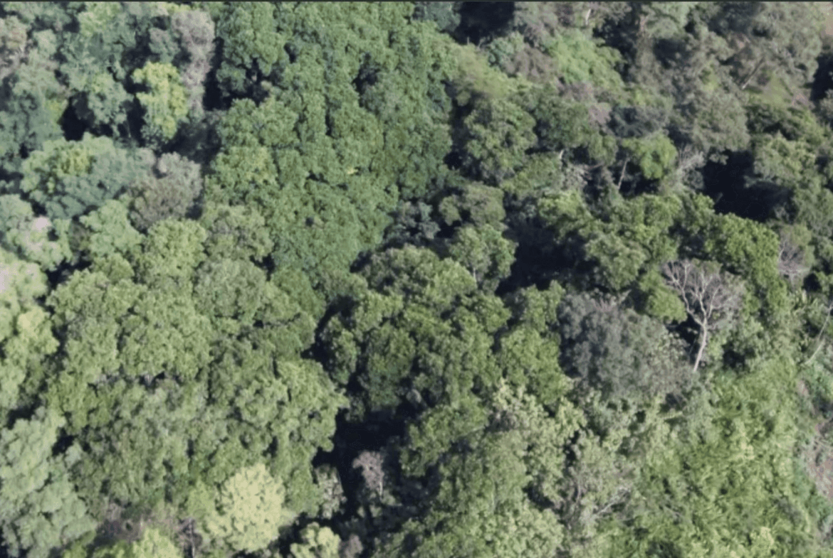 Lot For Sale in Pavones