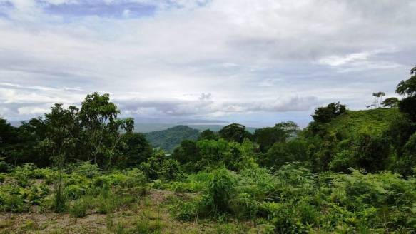 Ocean View property in Ojochal