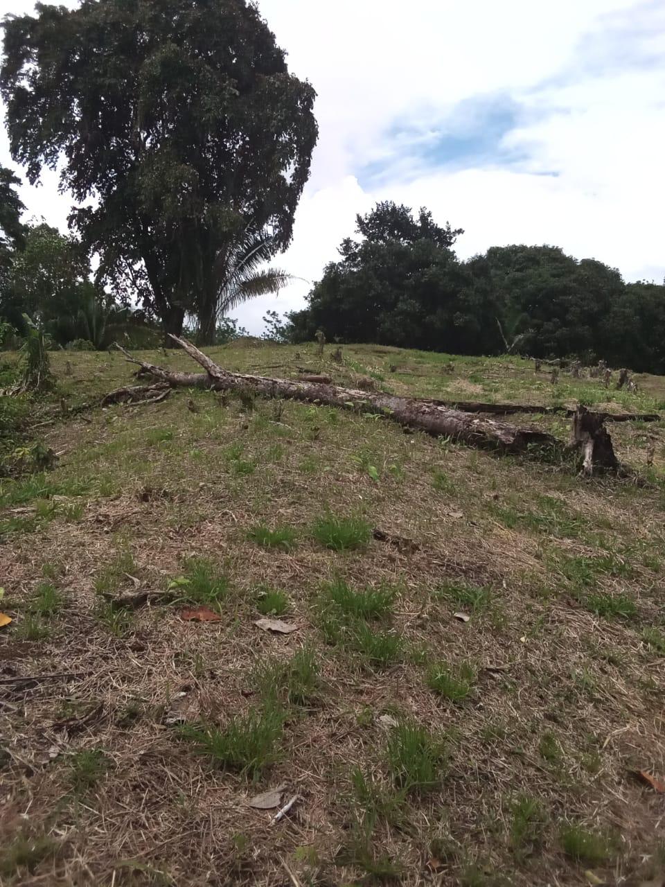 Development Opportunity in Golfito