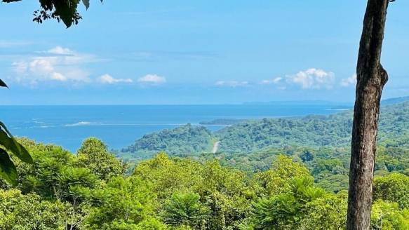 Bahia Ballena Under 250k