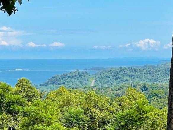 Bahia Ballena Under 250k