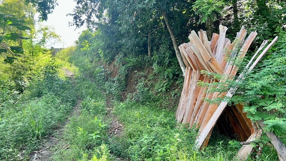 Ocean View property in Uvita