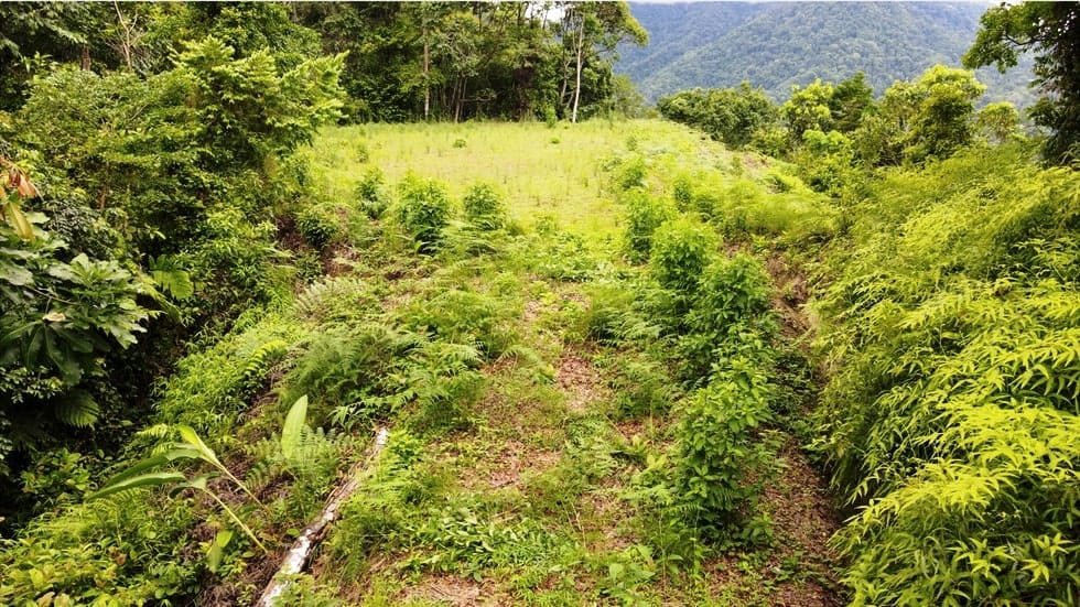 Ocean View property in Ojochal