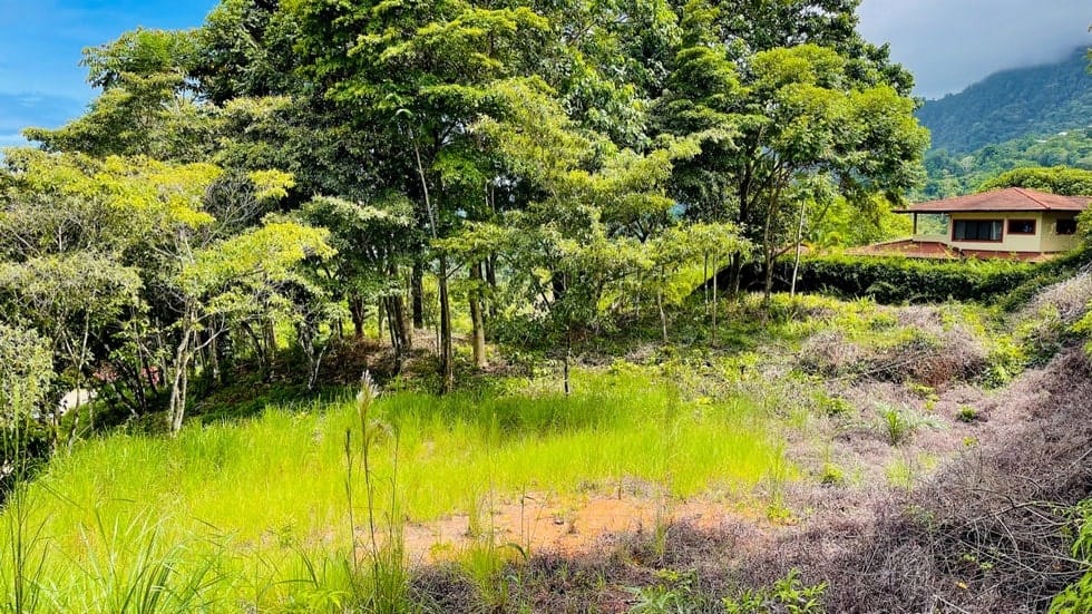 Bahia Ballena Under 250k