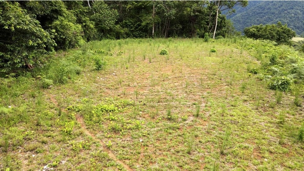 Ocean View property in Ojochal