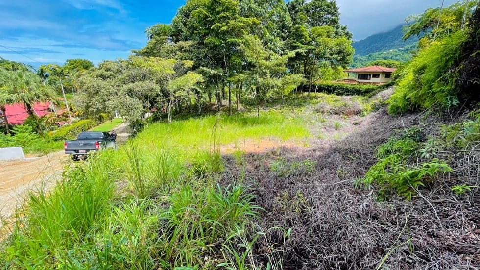 Bahia Ballena Under 250k