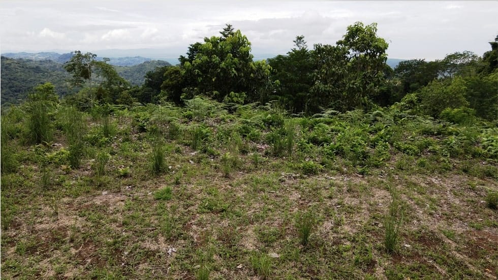 Ocean View property in Ojochal