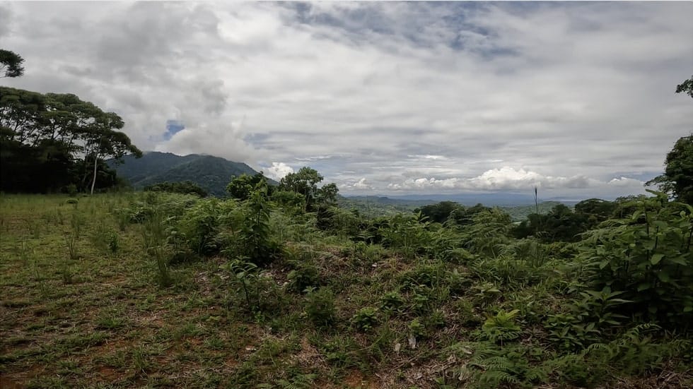 Ocean View property in Ojochal