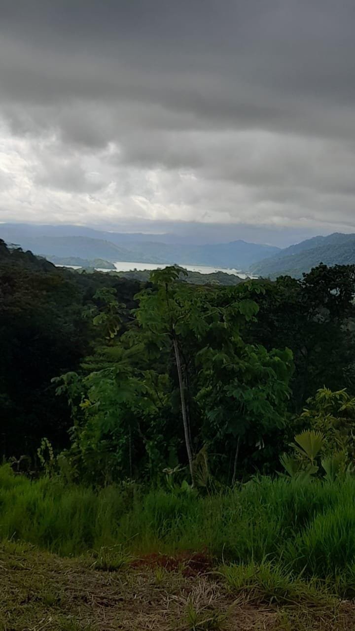 Development Opportunity in Golfito