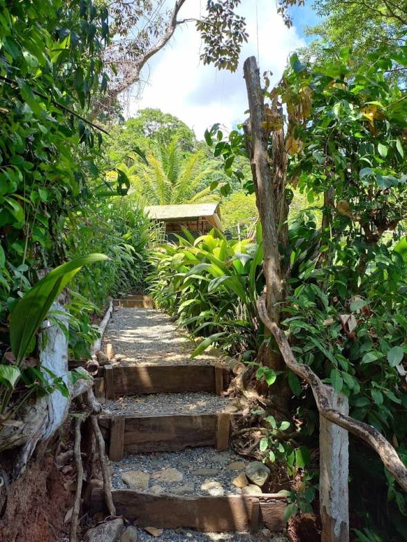 Ecolodge retreat for sale