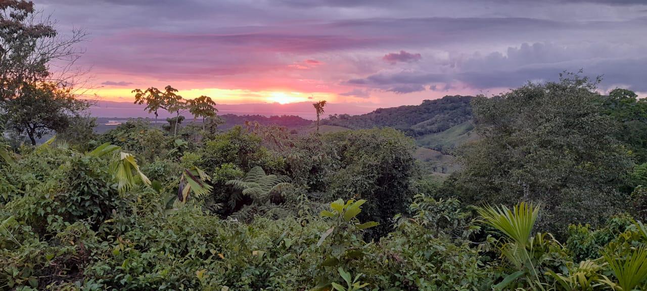 Development Opportunity in Golfito