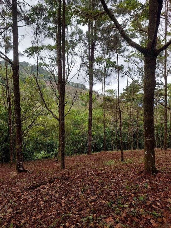 Land in Perez Zeledon